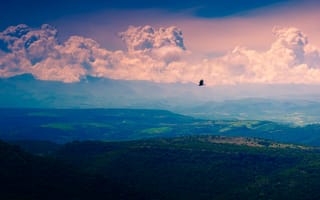 Картинка flying, bird, clouds, Valley, flight, mountains
