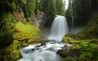 Картинка лес, деревья, камни, США, водопад, Oregon, мох, ручей