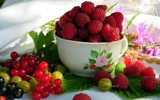 Картинка Малина, вкуснота, красная смородина, ягоды, крыжовник