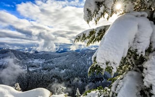 Картинка облака, Washington, штат Вашингтон, горы, зима, панорама, Каскадные горы, снег, Cascade Range, Okanogan-Wenatchee National Forest, Национальный заповедник Уэнатчи, ель, лес