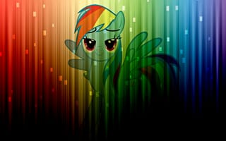 Картинка my little pony, радуга, rainbow, цвета, wall, стена, colors, pony, rainbow dash, dash, color, mlp, цвет