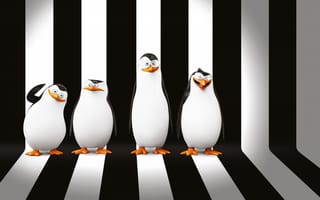 Картинка DreamWorks Animation, Penguins of Madagascar, Пингвины Мадагаскара, мультфильм