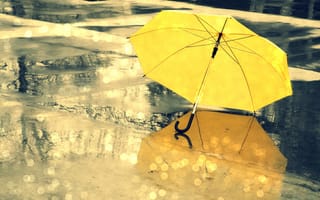 Картинка разное, капли, желтый, вода, дождь, мокро, зонт, отражение, блики, зонтик