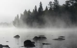 Картинка Туман, Landscape, Озеро, Forest, Лес, Утро, Fog, Nature, Morning, Lake