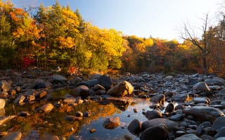 Картинка осень, вода, лес, деревья, солнце, камни, желтые