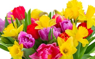 Картинка весна, colorful, 8 марта, нарциссы, beautiful, тюльпаны, tulips, flowers