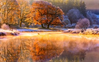 Картинка иней, река, деревья, свет, пар, ноябрь, природа, осень, утро