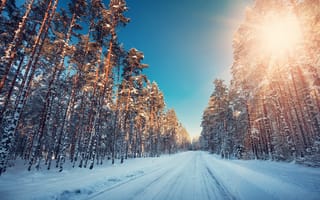 Картинка Зима, Дорога, Снег, Деревья