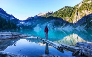 Картинка лес, деревья, бревно, озеро, камни, горы, человек, скалы