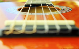 Картинка макро, гитара, оранжевый, venitomusic