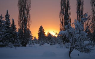 Картинка Winter, Frost, Sunset, Snow