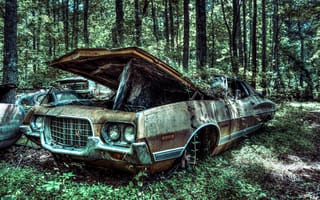 Картинка Ford, 1972, джорджия, дерево, старый, машина, лес, vehicle, tree, Gran Torino, forest, автомобиль, сша, old car, Gran Torino Speed