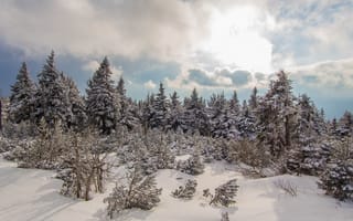 Картинка Зима, Снег, Мороз