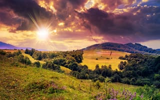 Картинка поле, лес, лето, солнце, небо, трава, лучи, облака