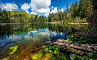 Картинка Природа, Облака, Пейзаж, Ель, Озеро, Hadikin Lake, Канада, Лес