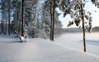 Картинка скамья, зима, лес, снег