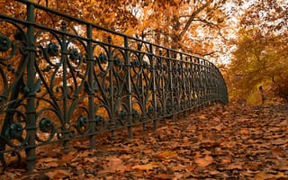 Картинка листья, забор, осень, улица