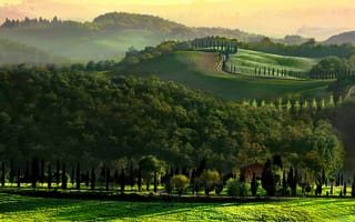 Картинка Италия, Тоскана, утро, дорога, деревья, холмы