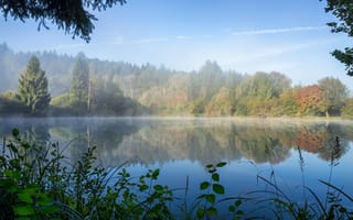 Картинка осень, лес, деревья, утро, озеро, дымка