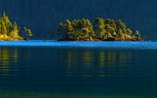 Картинка деревья, Vancouver Island, Cowichan Lake, Canada, остров Ванкувер, озеро Кауичан, Канада, вода, лес, островок