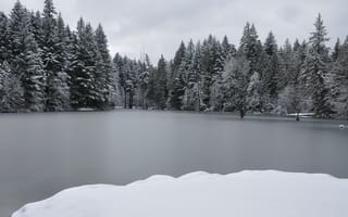 Картинка Зима, Озеро, Lake, Winter, Ice, Trees, Лёд