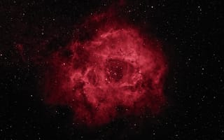 Картинка космос, звезды, Rosette Nebula, красота