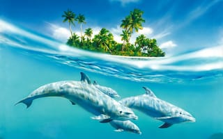Картинка 155, дельфины, остров, вода