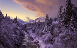 Картинка зима, лес, закат, река