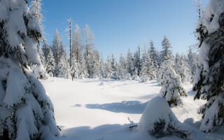 Картинка Зима, Германия, Гарц, Germany, Snow, Harz, Снег, Winter