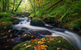 Картинка осень, лес, Saint-Herbot, Brittany, камни, речка, ручей, France, Бретань, листья, Франция