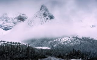 Обои дорога, туман, горы, природа, лес