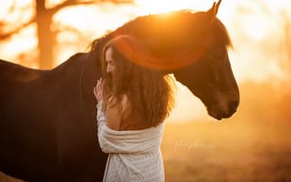 Картинка девушка, конь, свет