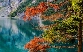 Картинка осень, рыбаки, Bernese Oberland, Switzerland, дерево, озеро Эшинензе, озеро, Oeschinensee, лодка, Швейцария, Oeschinen Lake, Бернское высокогорье