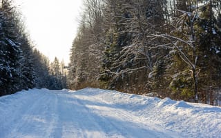 Картинка зима, дорога, зимний лес, зимнее, январь, закат, снежная дорога, лес, мороз, солнечно, холодно, природа, снег, путь