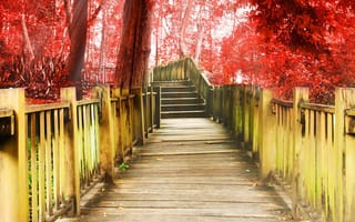 Картинка разное, ступени, дорожка, красный, дерево, лестница, ступеньки, деревья