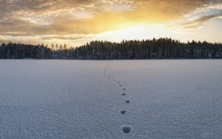 Картинка зима, снег, след, утро, поле