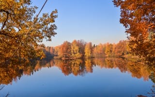 Картинка Осень, Озеро, Fall, Lake, Colors, Autumn, Золотая осень, Лес