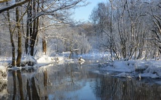 Картинка деревья, Зима, River, Trees, Snow, Winter, Снег, Frost, Мороз, Речка