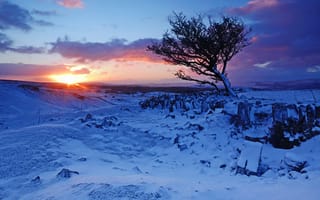 Картинка зима, снег, дерево, Уэльс, Англия, восход, England, рассвет, горы, Brecon Beacons National Park, Национальный парк Брекон-Биконс, Wales