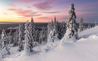Картинка зима, закат, деревья, природа
