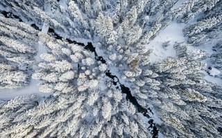 Картинка зима, вид сверху, снег, лес