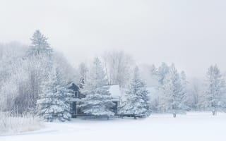 Картинка лес, домик, мороз, природа, зима, снег