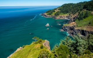 Картинка море, деревья, Oregon, горизонт, скалы, побережье, США, камни