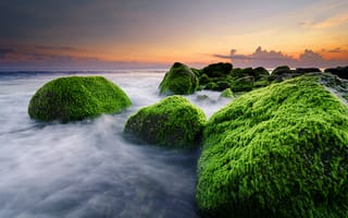 Картинка камни, Ketewel, Indonesia, Masceti Beach, пляж, океан, Bali, водросли
