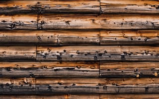 Картинка wall, nature, wood
