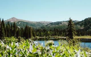 Картинка деревья, горы, холмы, озеро