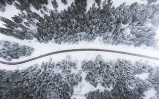 Картинка зима, дорога, лес, Швейцария, зимняя дорога, Switzerland
