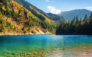 Картинка осень, лес, Китай, деревья, заповедник, горы, озеро, солнечно