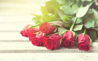 Картинка красные розы, valentine`s day, roses, бутоны, romantic, love, red, flowers, розы