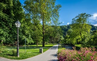 Картинка зелень, лето, деревья, цветы, пейзаж, трава, парк, солнце